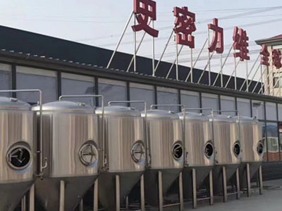 绛县精酿啤酒设备厂—如何判断精酿啤酒设备的密封件需要更换？